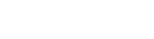 Berliner Digital Initiative
